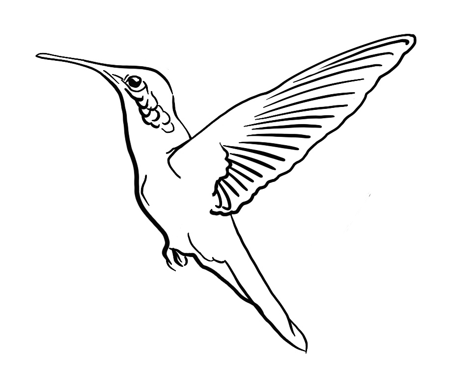Espace TERRASSE Colibri3